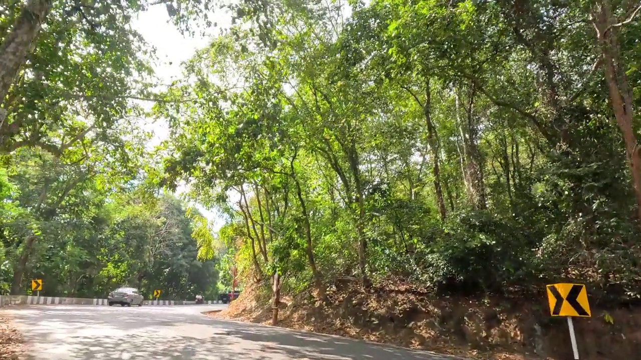 穿过森林路的风景车视频素材