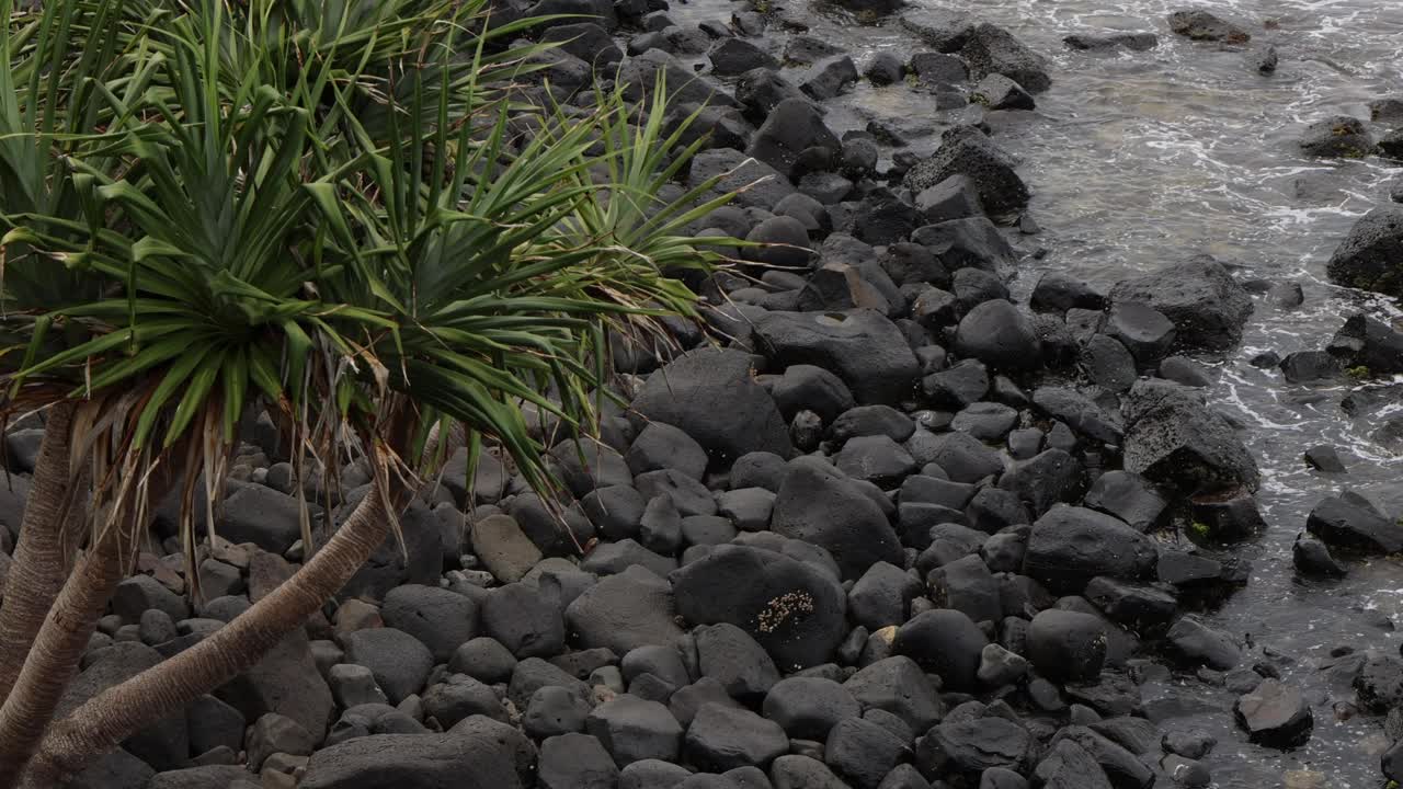 热带海滩海浪冲击海岸视频素材