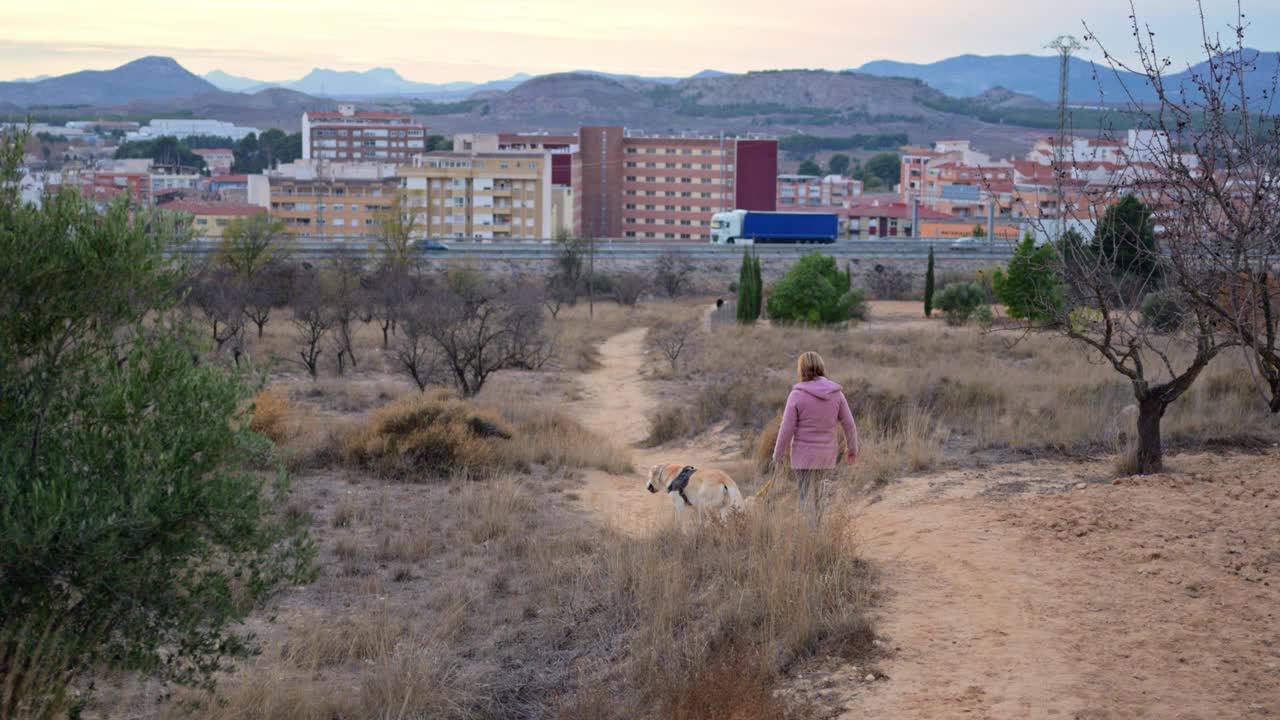 黄昏时分，女人带着她的狗走在城市建筑附近尘土飞扬的小路上视频素材