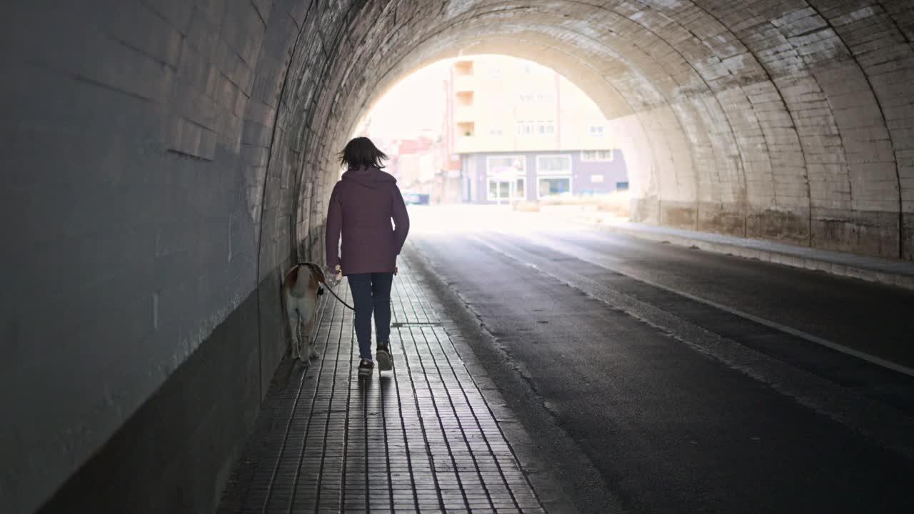 带着狗穿过隧道的女人视频素材