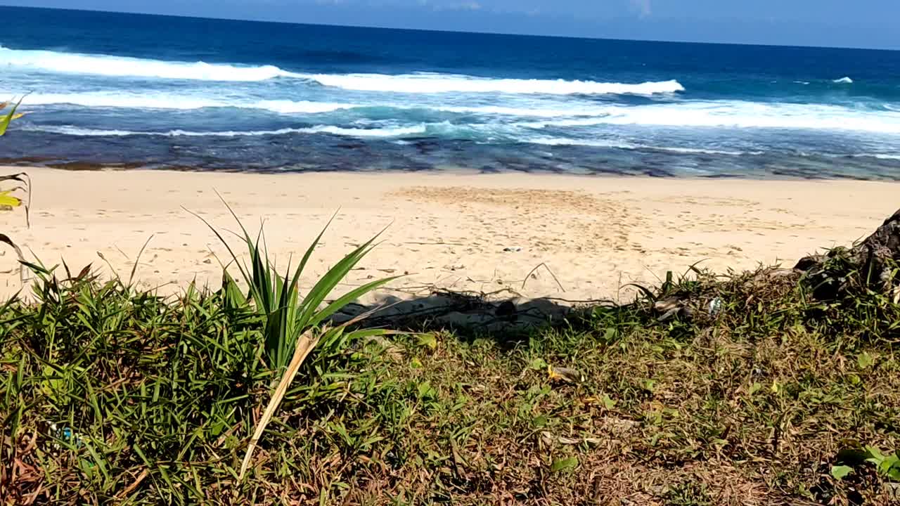 4k印尼热带海滩海景。视频下载