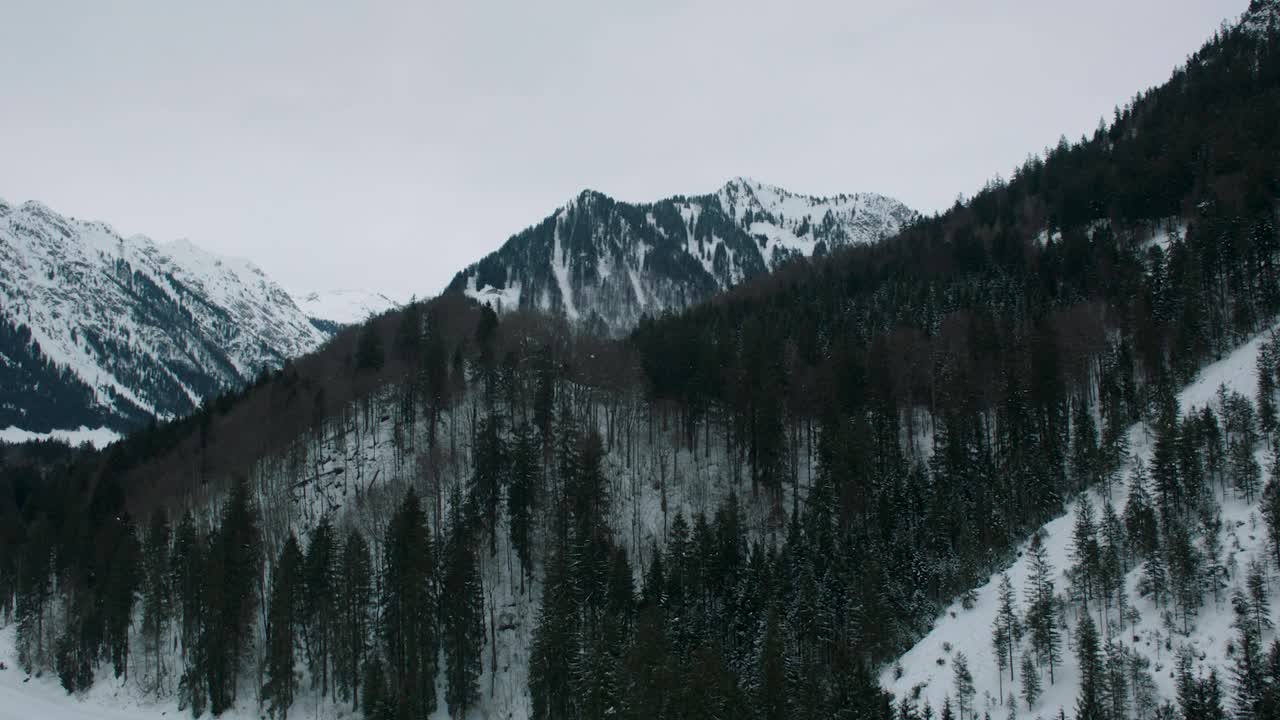 冬季雪山茂密，鸟瞰图视频素材