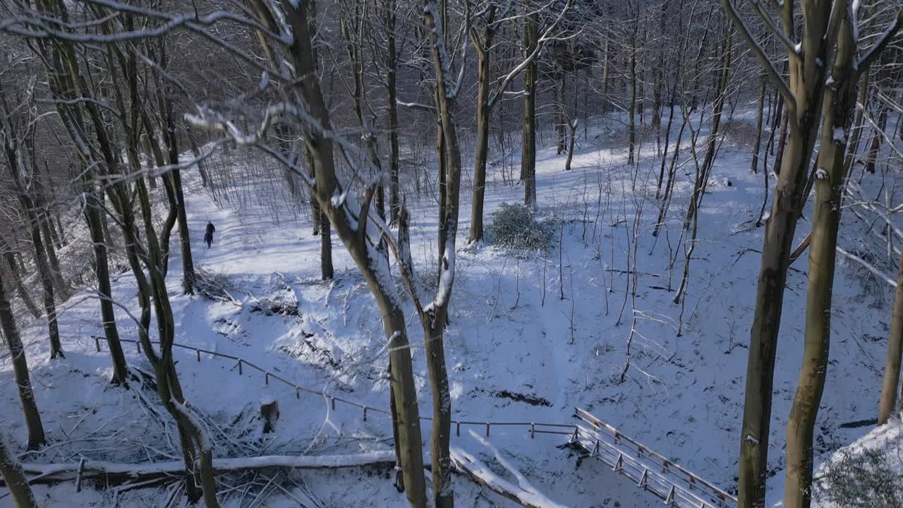 一个孤独的身影在宁静的白雪覆盖的森林中跋涉。无人机的繁荣。视频素材