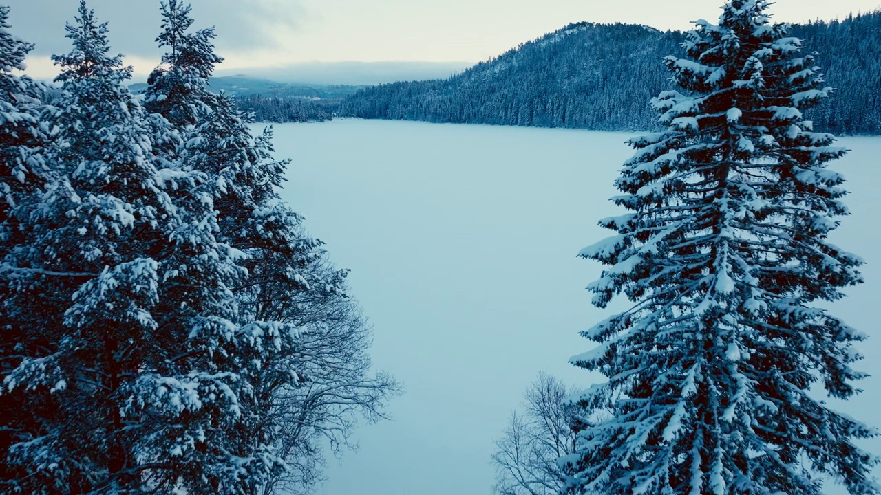 冬季景观与白雪覆盖的小屋和树木在挪威-空中回调视频素材