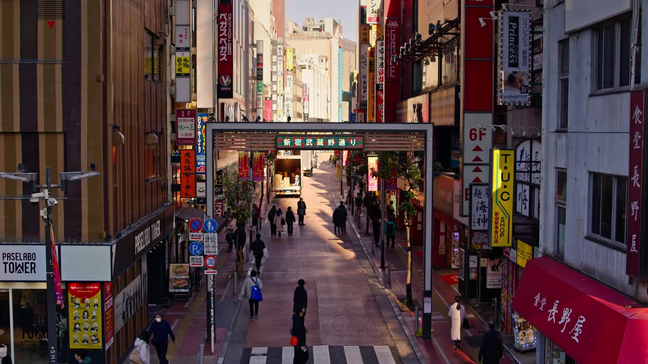 东京新宿市繁忙的武藏野街视频素材