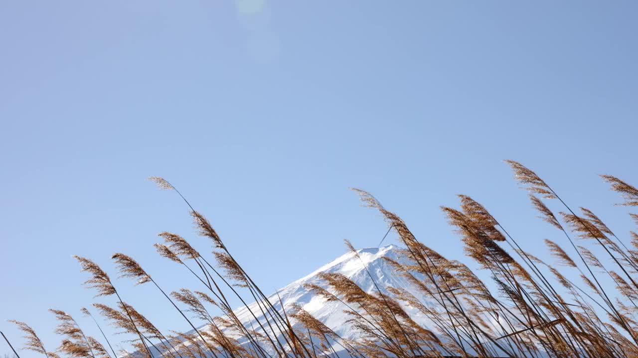 富士山的自然风光视频素材