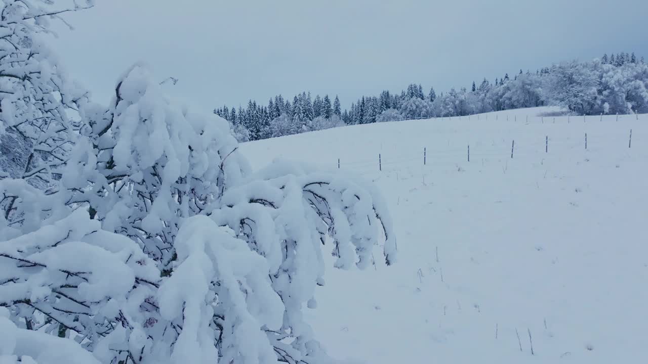 挪威特隆德拉格县因德福森的一片被雪覆盖的农田视频素材