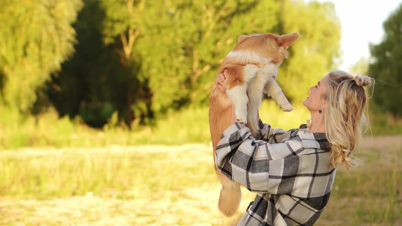 一个女人抱着并抚摸着一只威尔士柯基犬，充满爱意地看着它。友谊的概念，是人与狗之间的信任。视频素材