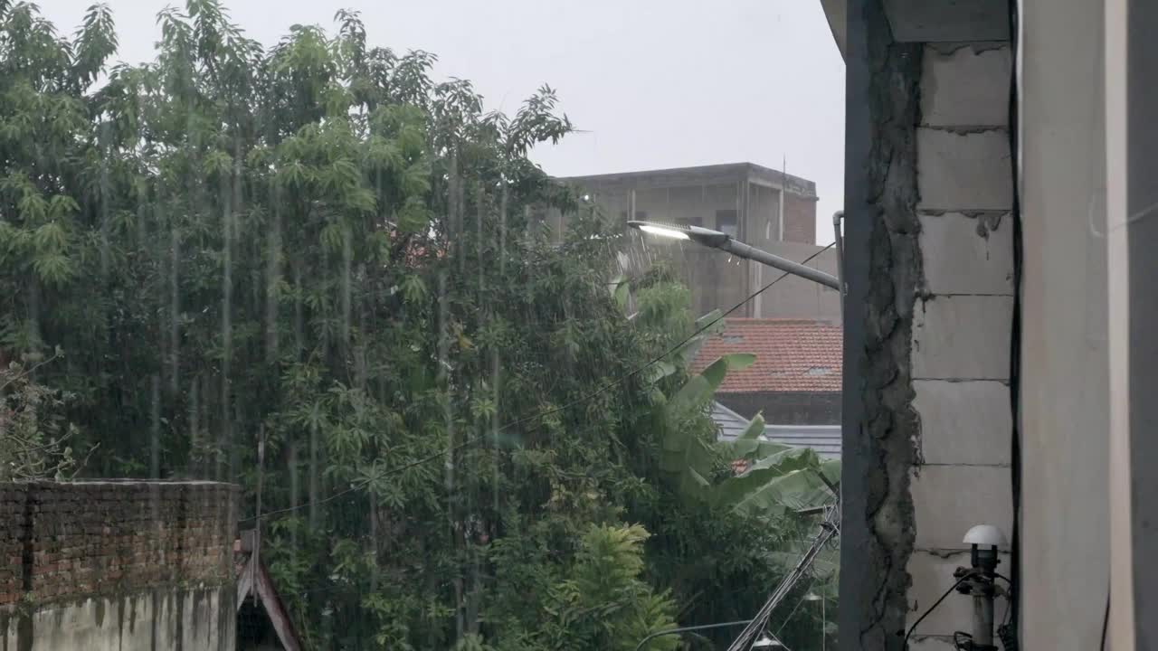 大雨中的街灯视频下载