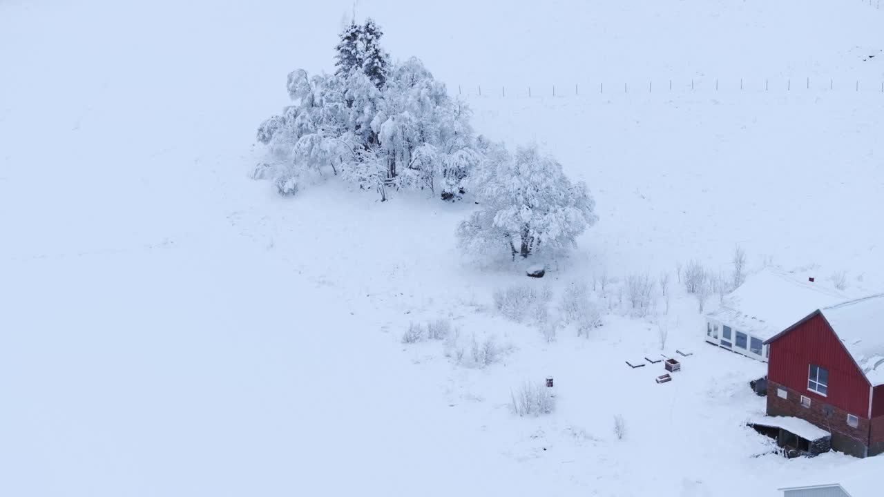 雪景与小屋和白雪覆盖的树木在inderfosen，挪威-空中无人机拍摄视频素材