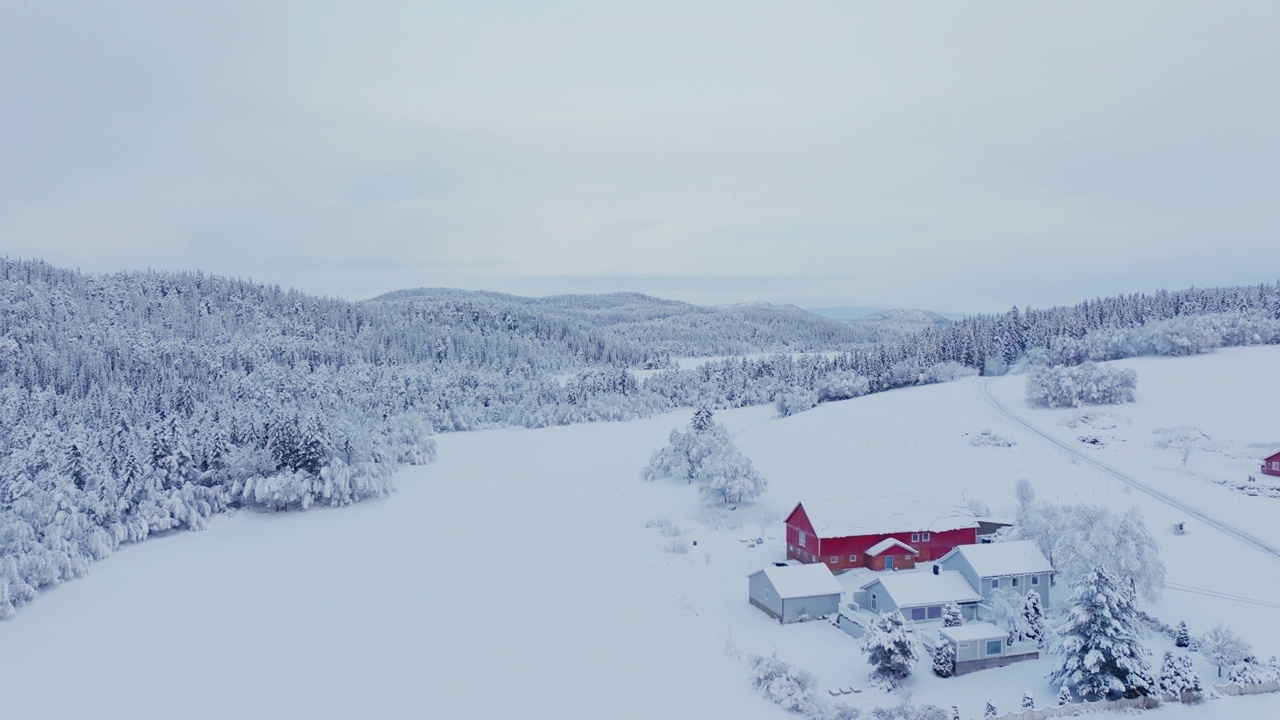 小屋和森林覆盖着大雪在挪威-航拍视频素材