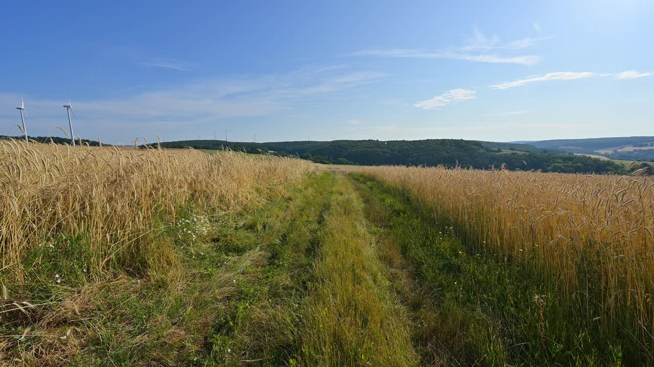 夏季景观中的田野路径，温克海姆，Werbach, Main-Tauber-Kreis, Baden wrttemberg，德国视频素材