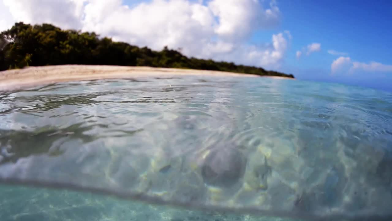 在下面的海滩上视频下载