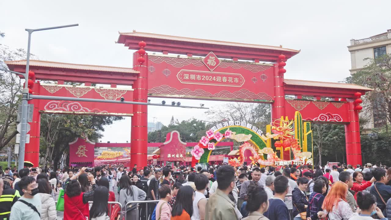 广东深圳迎春花卉市场视频下载