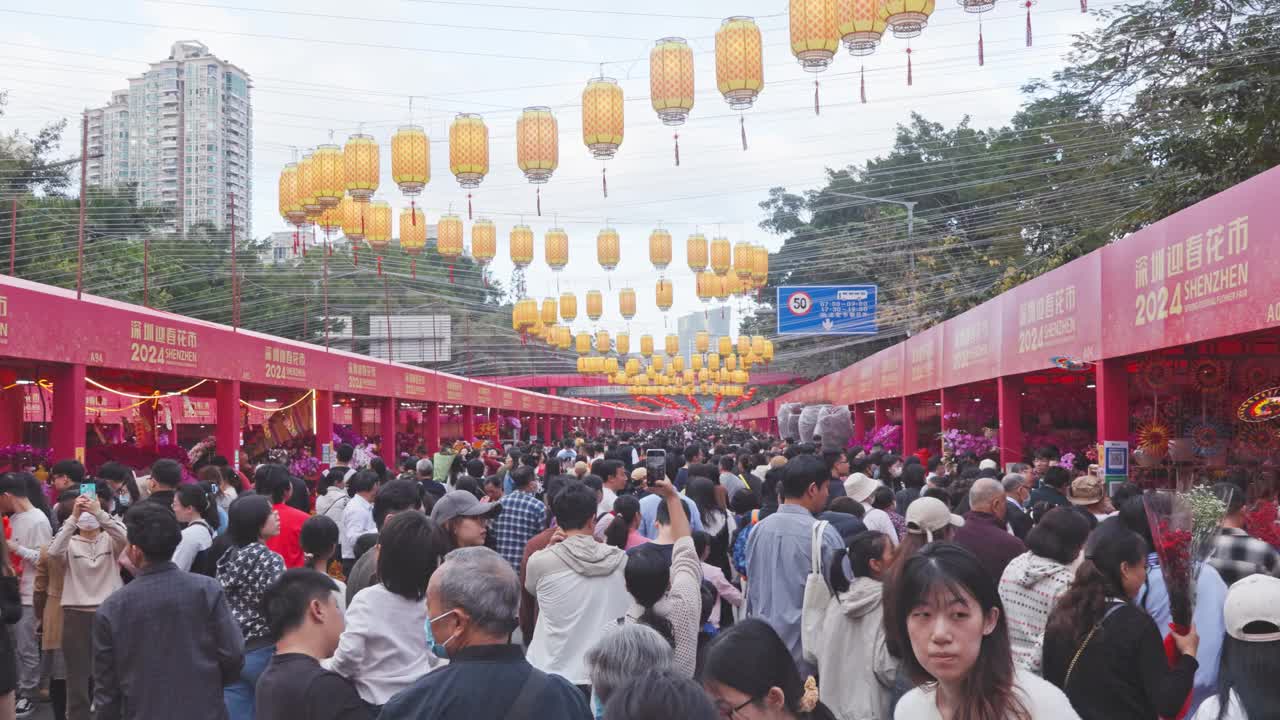 广东深圳迎春花卉市场视频下载