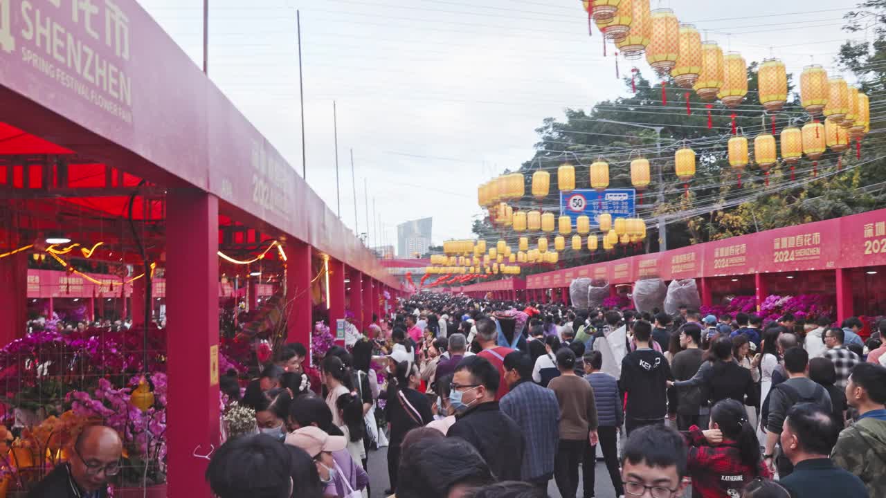 广东深圳迎春花卉市场视频素材