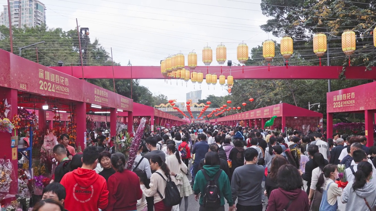 广东深圳迎春花卉市场视频下载