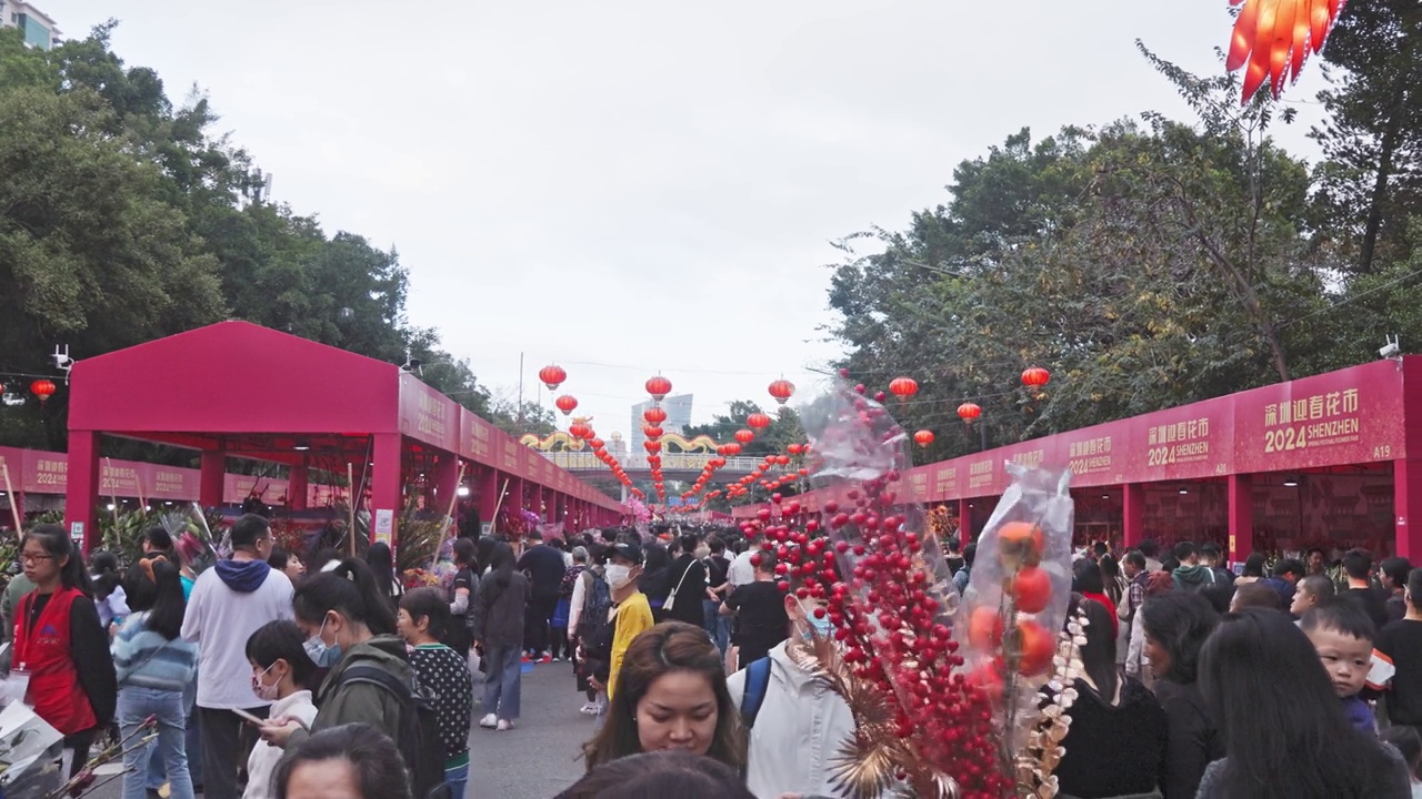 广东深圳迎春花卉市场视频素材