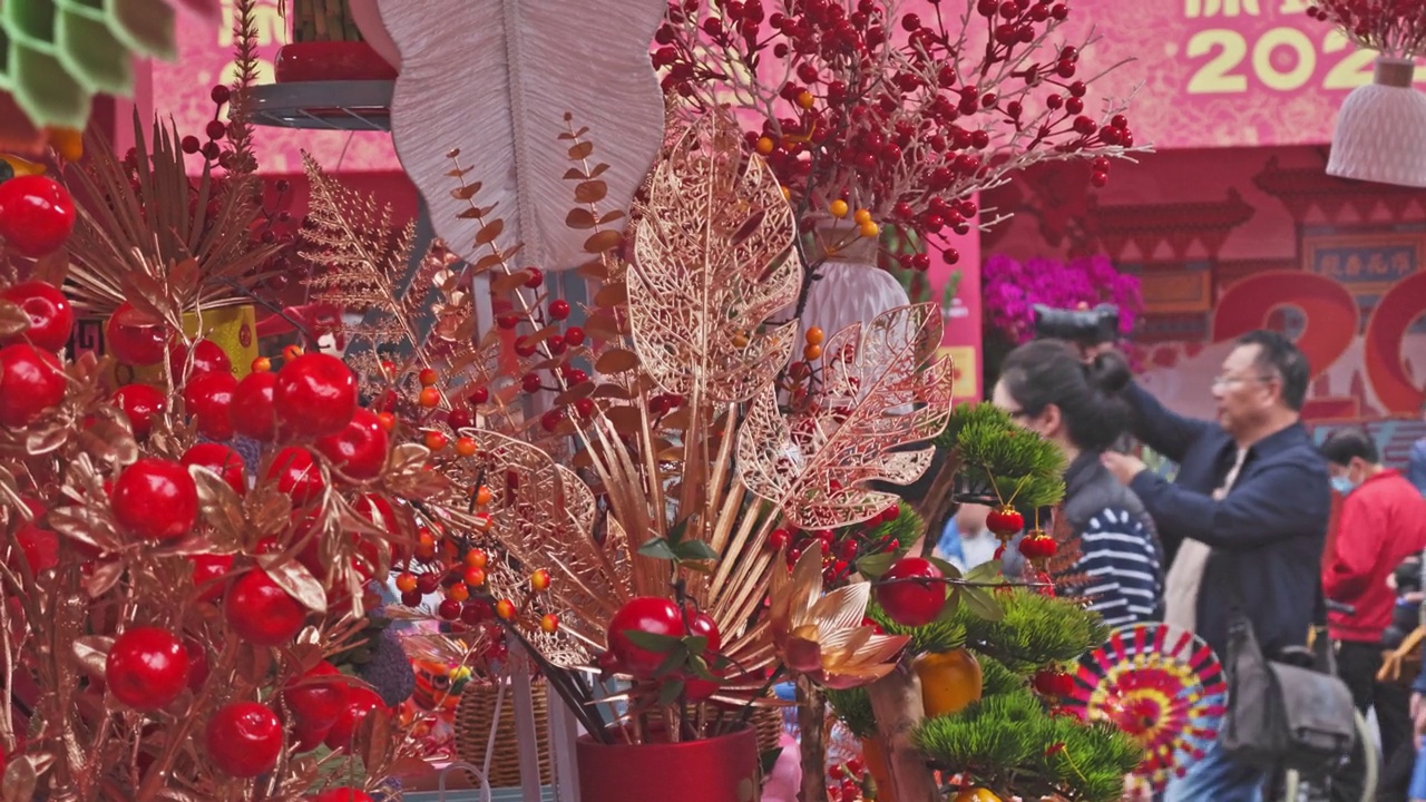 广东深圳迎春花卉市场视频下载