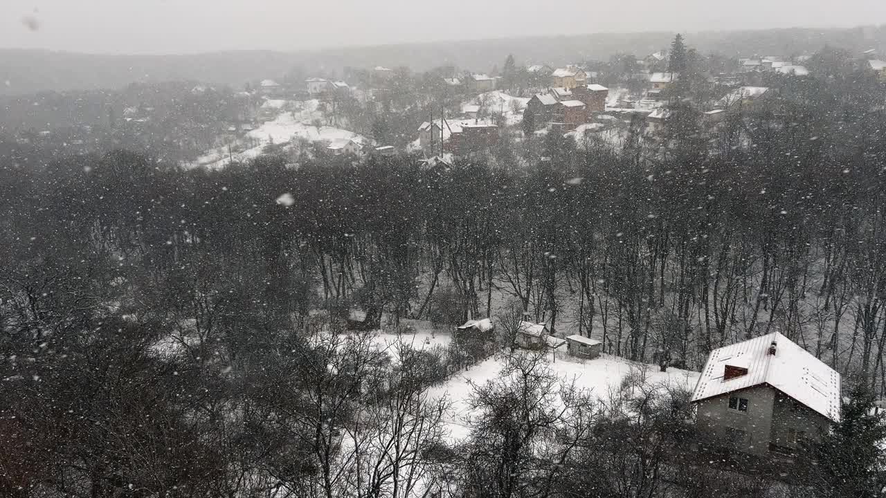 暴风雪的背景是森林和房屋。在冬天拍摄。视频素材