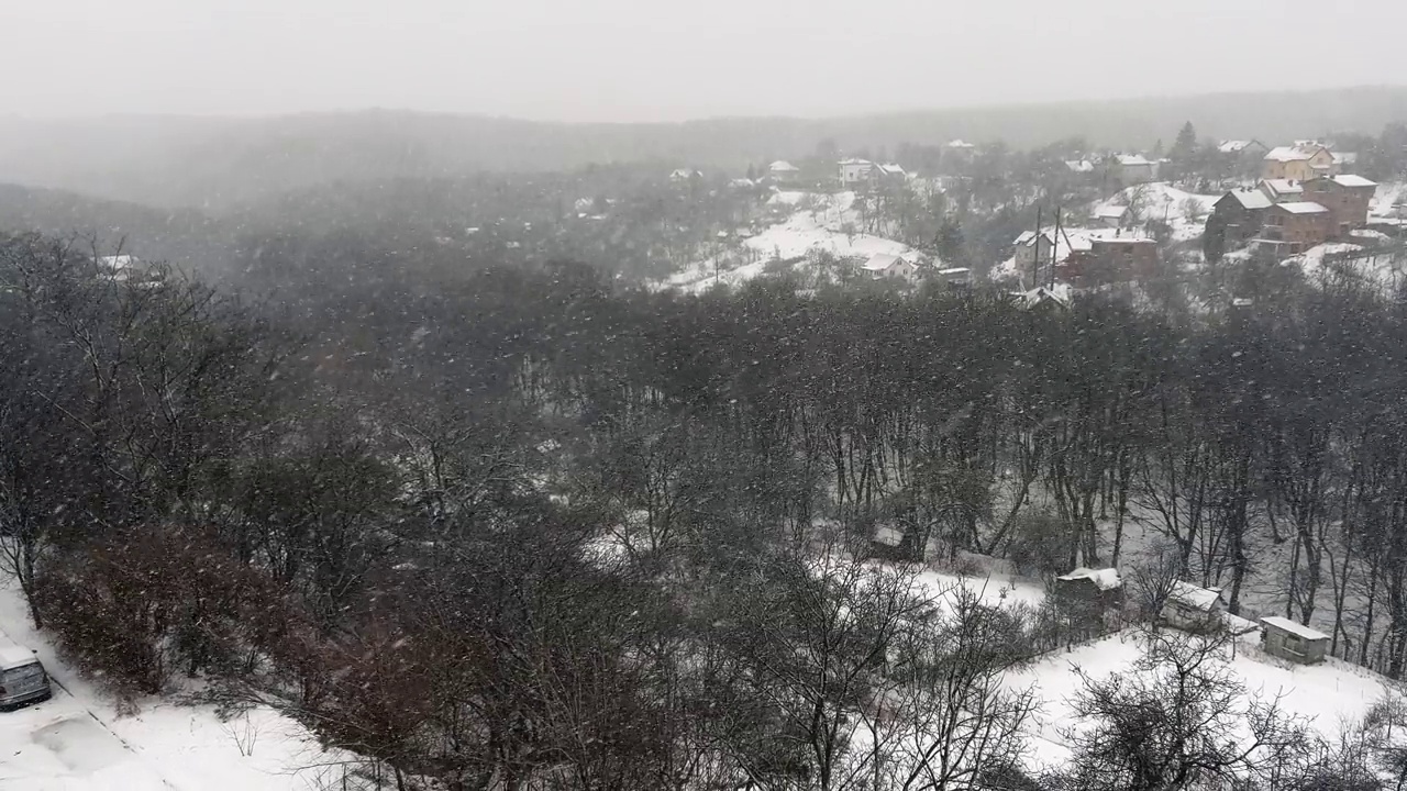 暴风雪的背景是森林和房屋。在冬天拍摄。视频素材