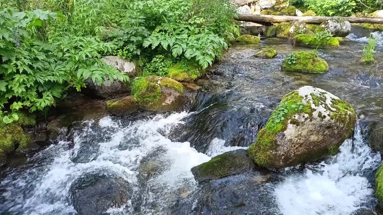 在一个阳光明媚的夏日，一条狂风暴雨的小溪从山上流过一片宽阔的空地，水流淹没了石头。视频素材