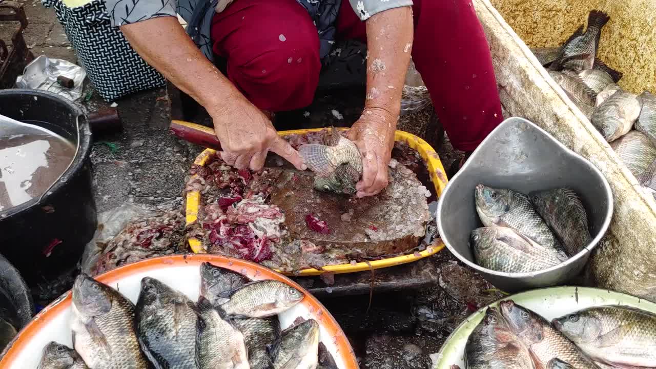 户外用刀切割和清洁鱼鳞，近距离观察，4k分辨率视频下载