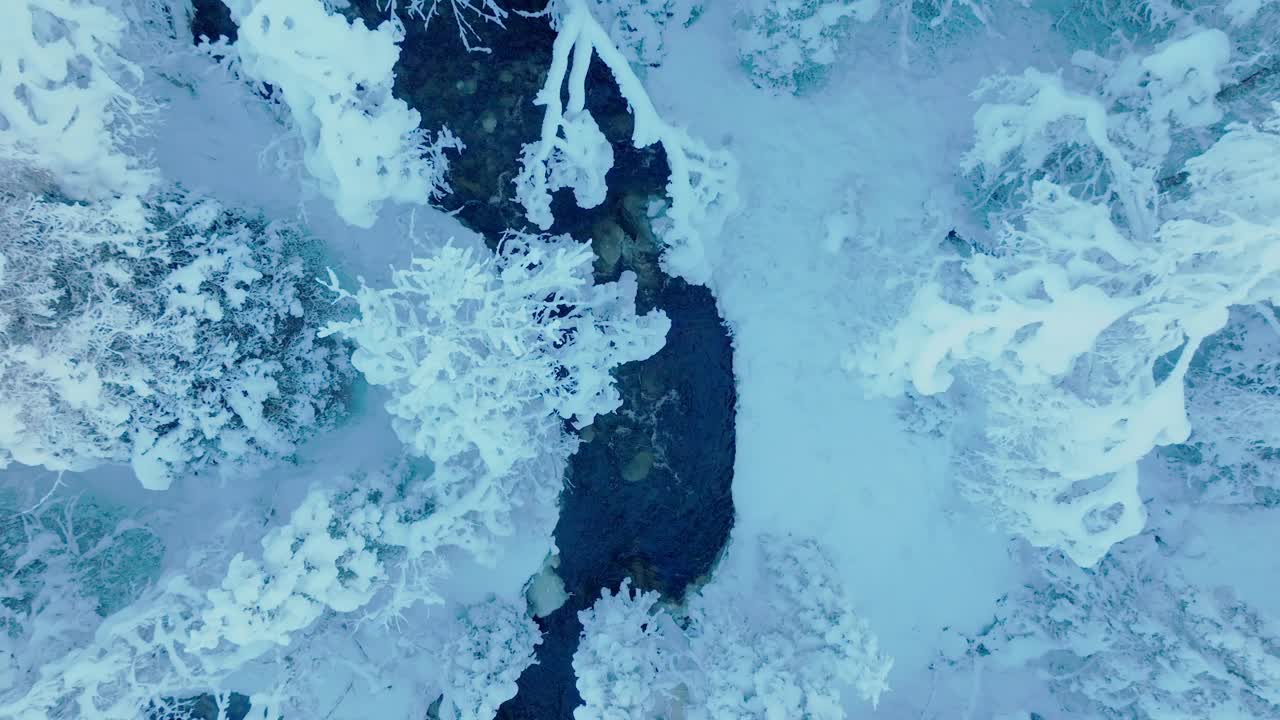 鸟瞰流经挪威冬季森林的河流-无人机拍摄视频素材