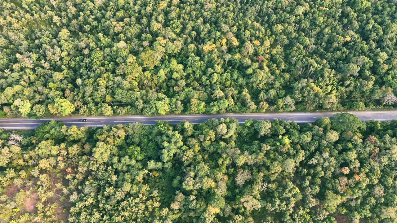 森林中央道路的鸟瞰图，路上有汽车在行驶视频下载