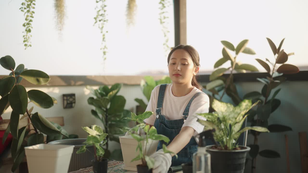 一位戴着园艺手套的亚洲妇女正在家里种菜视频素材