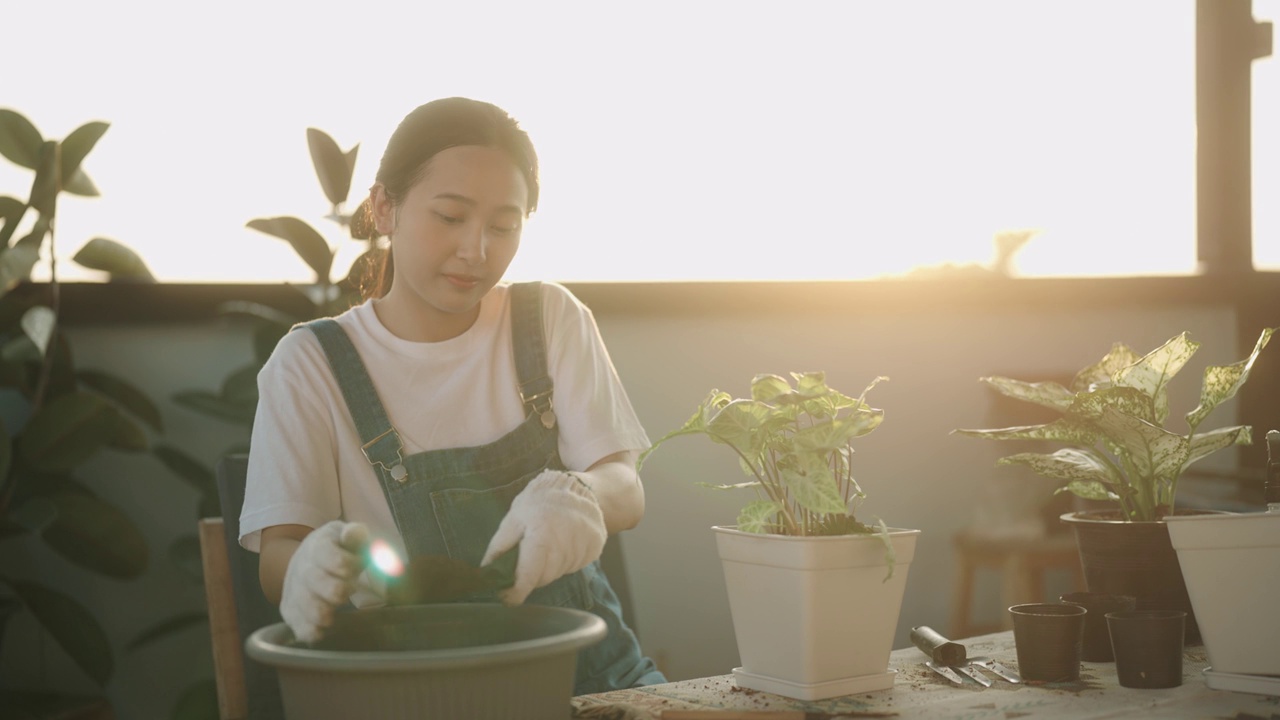 一位戴着园艺手套的亚洲妇女正在家里种菜视频素材