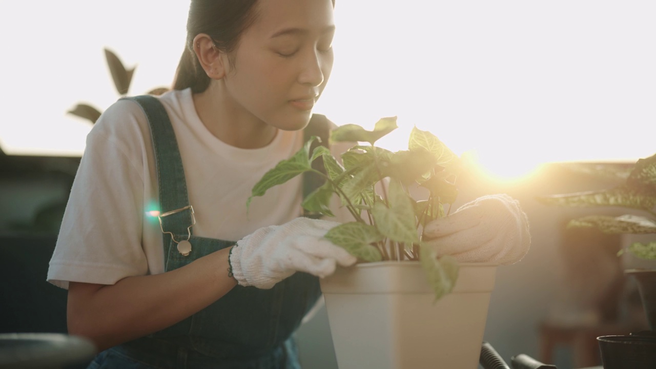 一位戴着园艺手套的亚洲妇女正在家里种菜视频素材