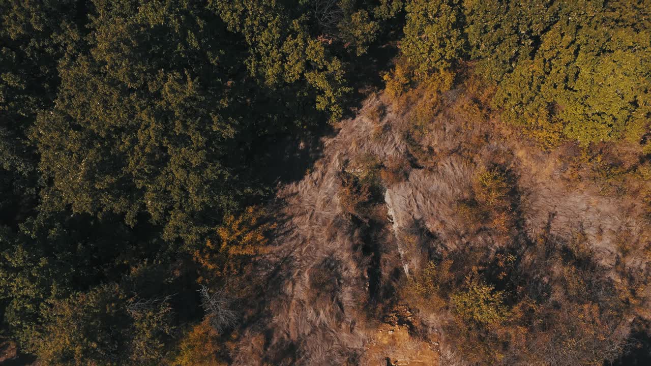 无人机拍摄的秋季森林景观和蓝天下的季米特洛夫格勒城市建筑视频素材