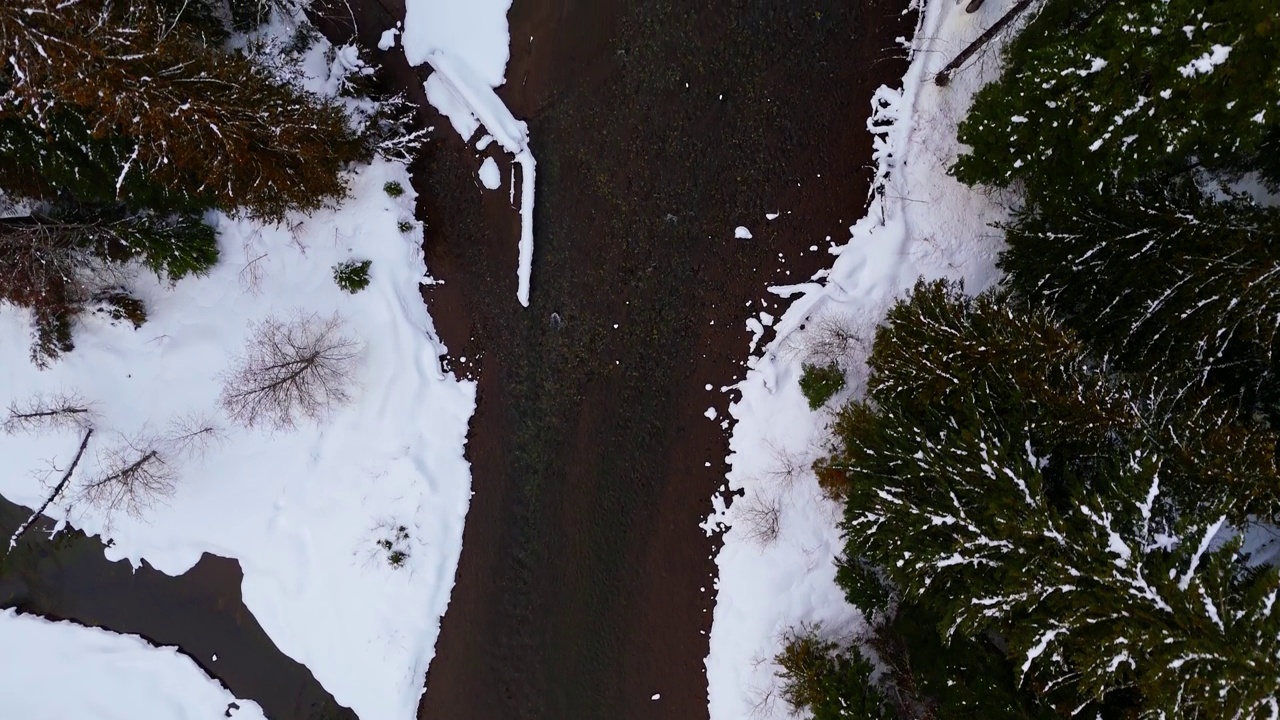 从空中鸟瞰太平洋西北部常绿森林中缓慢流动的河流和雪堤。视频素材