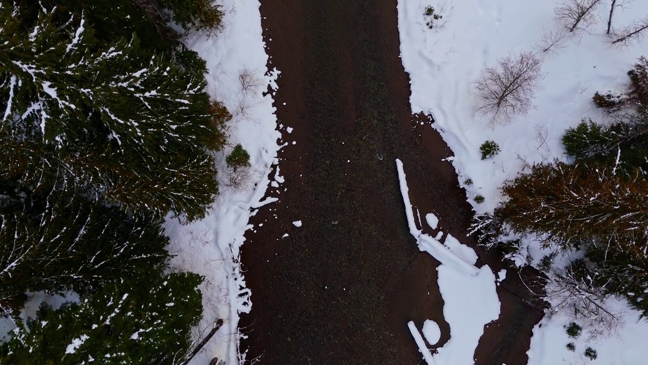 空中鸟瞰河流和雪与常绿雪覆盖的树木在西北太平洋在冬季。视频素材