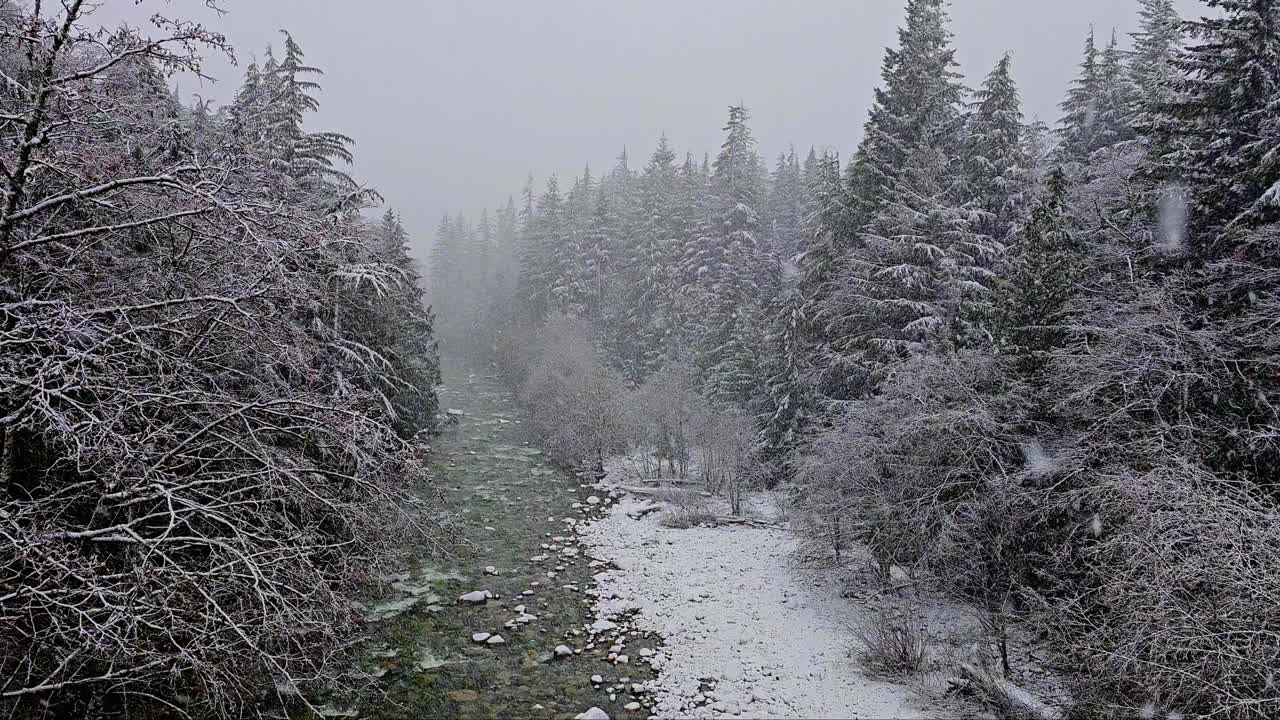 华盛顿州西北太平洋地区的斯诺夸尔米山口，冬季的大雪纷飞。视频素材