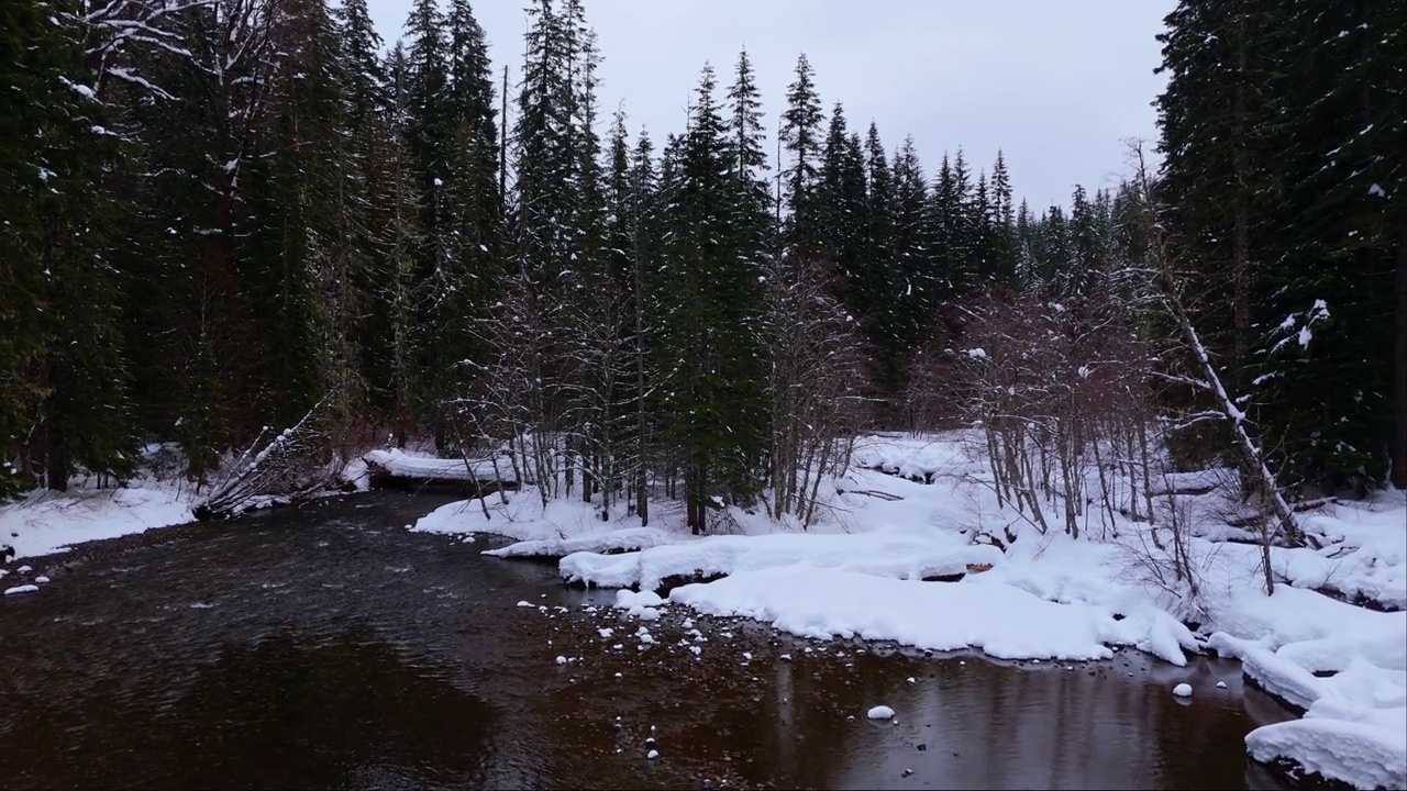 缓慢流动的河流雪景发现常绿森林在冬季在太平洋西北部。视频素材