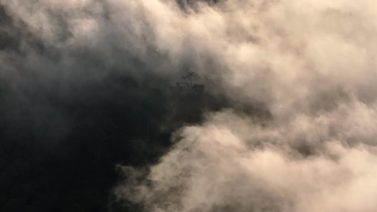 泰国南部的雅拉省，空中无人机拍摄的早晨有很多雾和薄雾的雨林视频素材