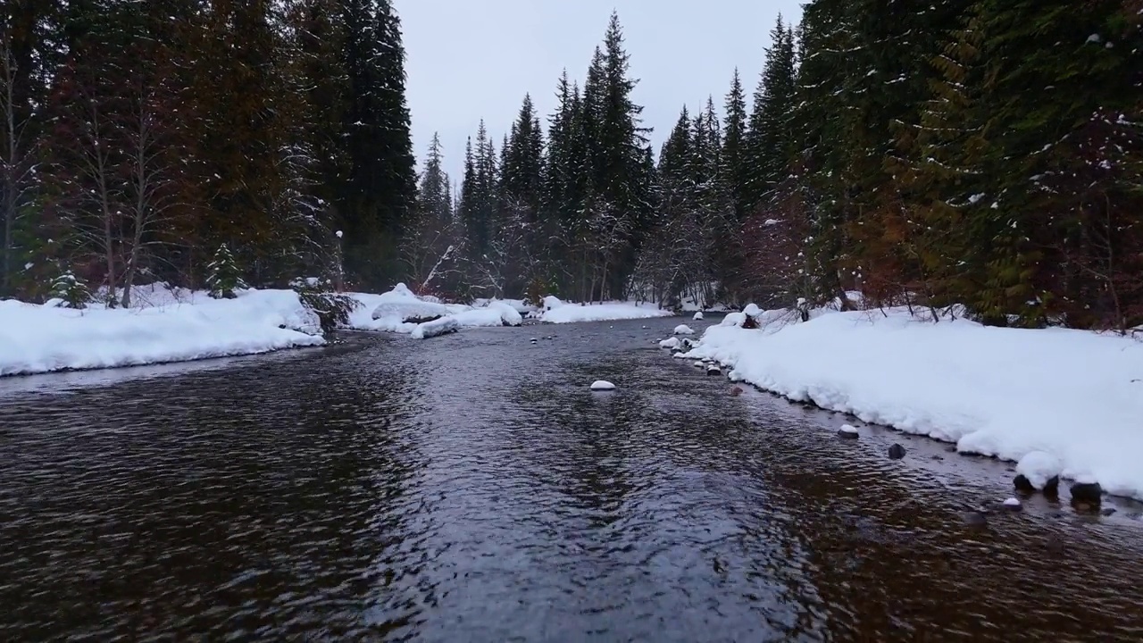 冬天的雪和缓慢流动的河流常绿森林在西北太平洋。视频素材