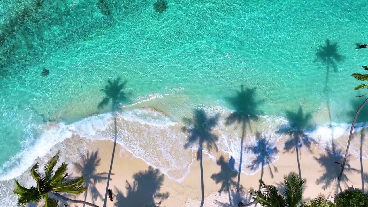 夏日棕榈树和热带海滩，蓝色的海滨背景视频素材