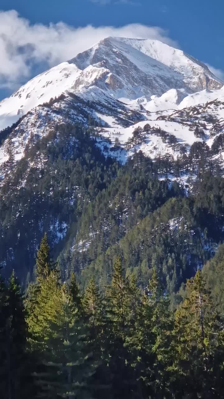 雄伟的岩石山顶覆盖着雪和绿色的冷杉林在前景视频素材