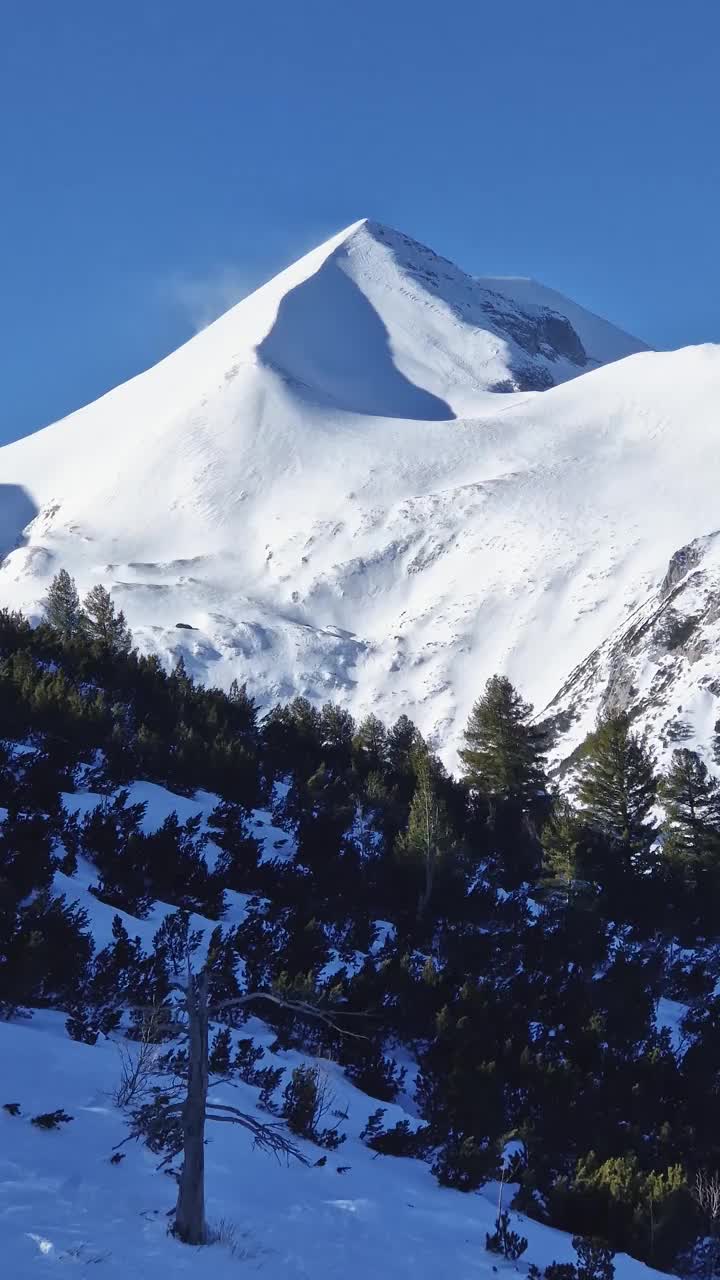 雄伟的岩石山顶覆盖着雪和绿色的冷杉林在前景视频素材