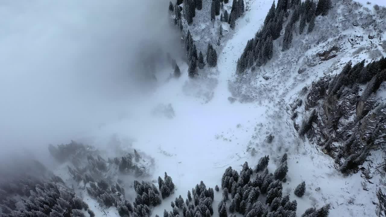 松树刺穿多云积雪覆盖的悬崖布劳恩瓦尔德瑞士，航拍视频素材