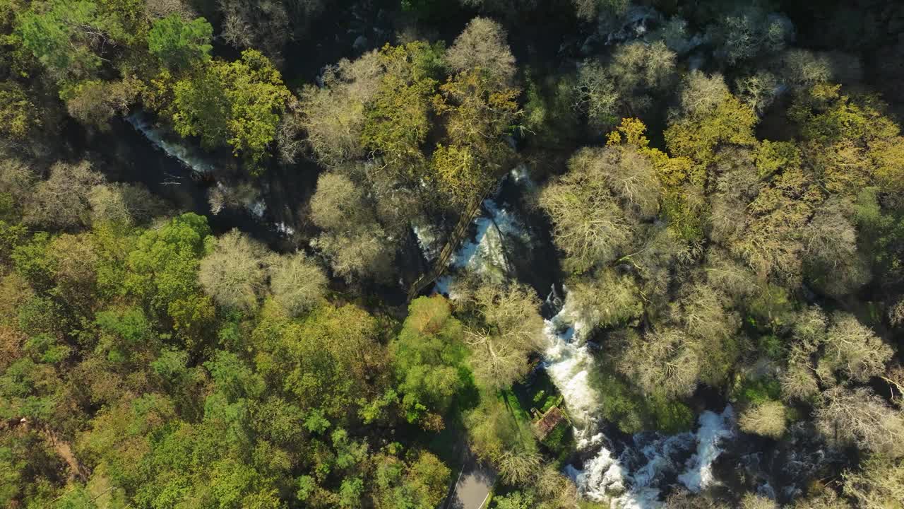 空中拍摄的扎斯河在岩石上流过，穿过西班牙加利西亚阿科鲁尼亚的茂密树林视频素材