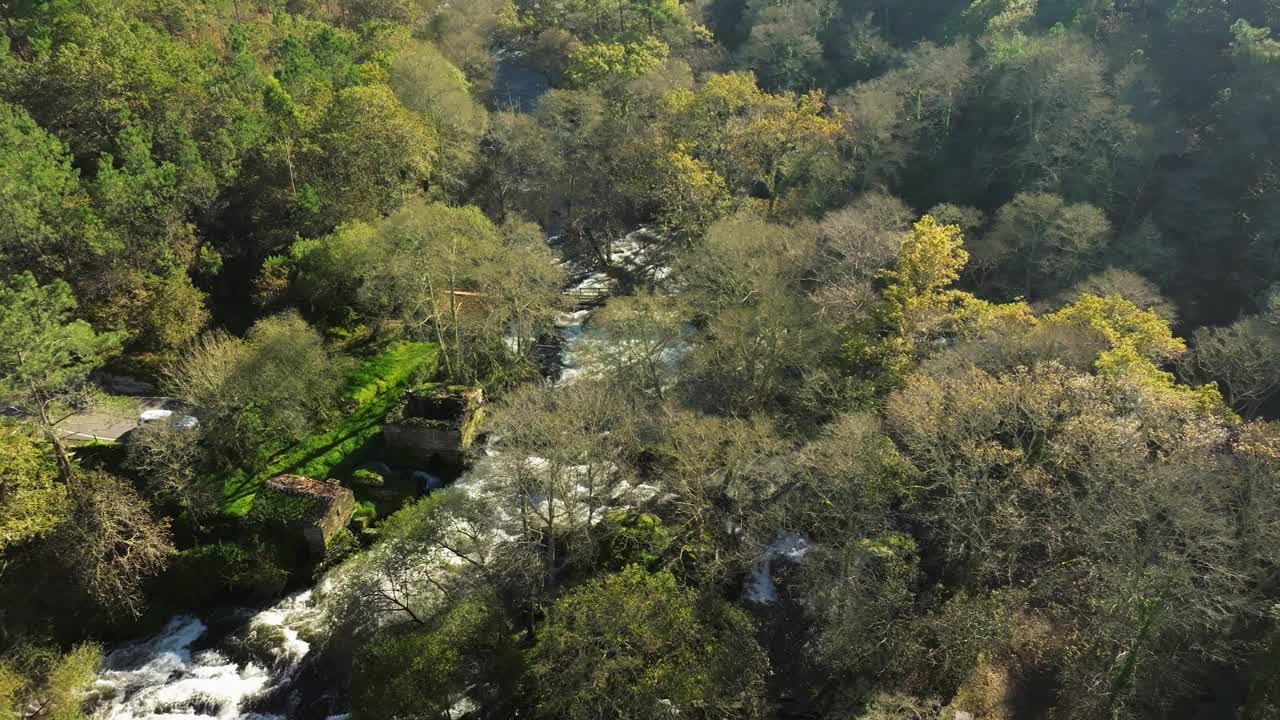 无人机拍摄的萨斯河(萨斯河)在岩石上瀑布穿过茂密的树林在西班牙的拉科鲁尼亚视频素材