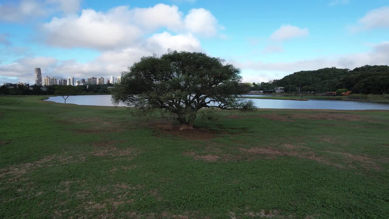 巴西库里蒂巴美丽而绿色的巴里吉公园鸟瞰图视频素材