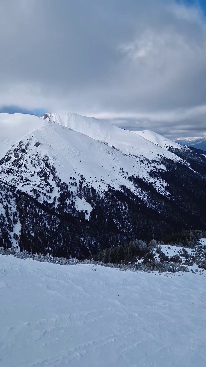 冬天的山峰上覆盖着皑皑白雪，山上有针叶林，鸟瞰视频素材