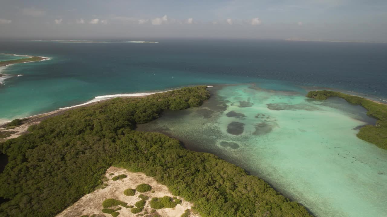 委内瑞拉洛斯罗克斯群岛海岸沙质地区周围的红树林视频素材