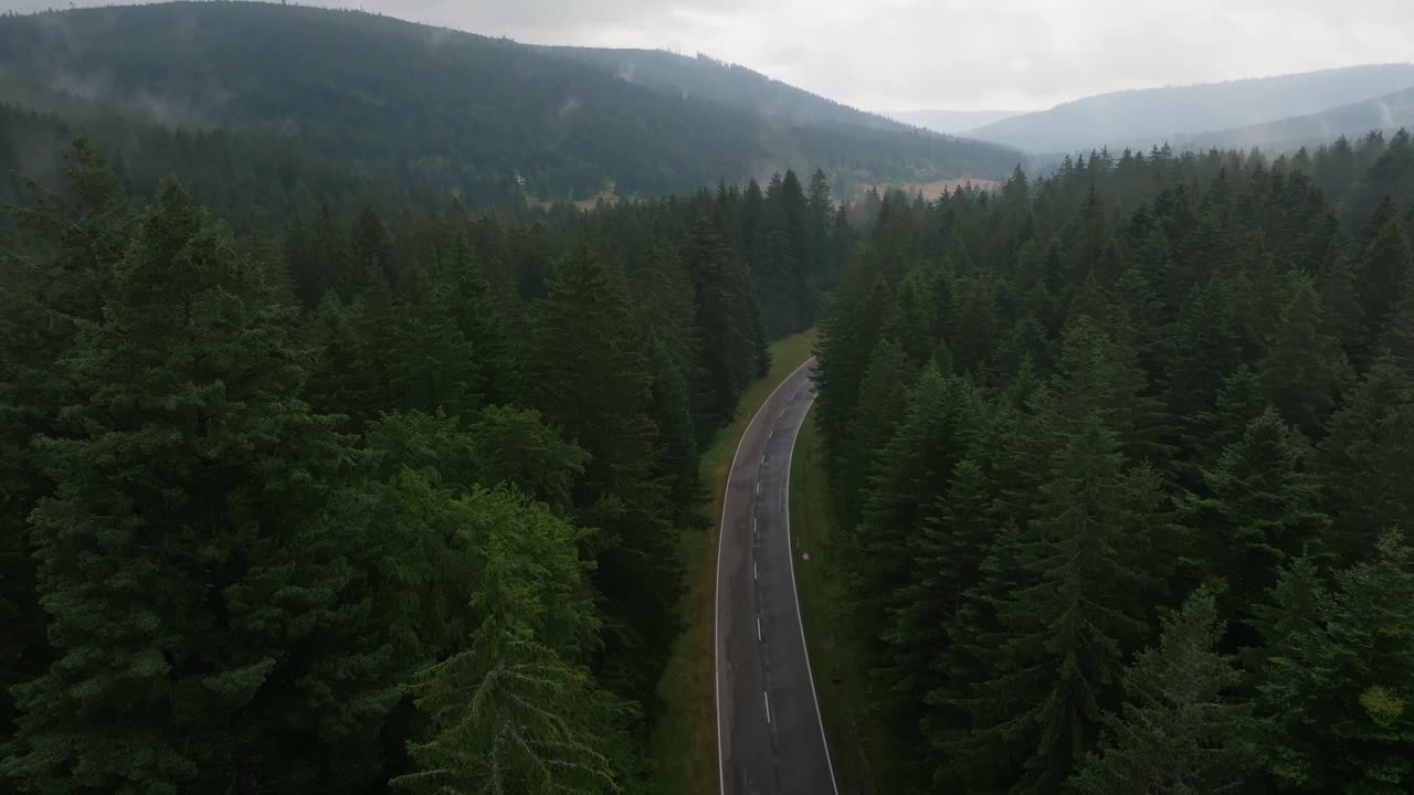 森林道路上空阴天的航拍画面视频素材