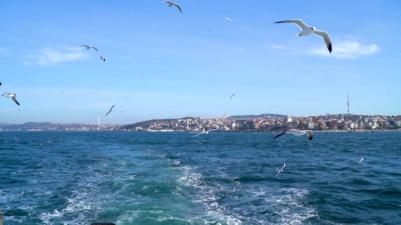 蓝云和海鸥，伊斯坦布尔的轮渡之旅视频素材